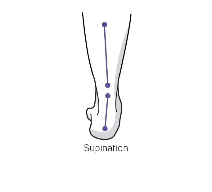 https://www.minfot.se/pub_docs/files/Hurvetjagomjagpronerarellersupinerar/supination.jpg