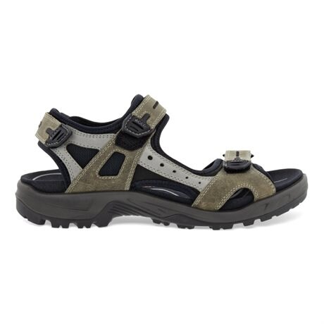 Product Image for ECCO Sandal Herr Offroad Vetiver Wild Dove